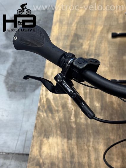 Kettler Quadriga PRO Belt Automatic Vélo électrique Enviolo 2023 - 6