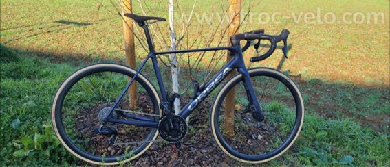 Orbea orca