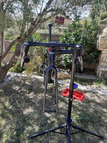 CANYON ultimate CF SLX 8.0 XS - 2