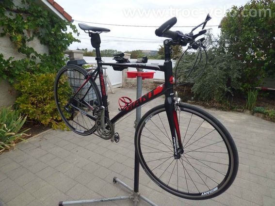 Giant Rapid 3 – Taille L – Confort amélioré – 320 €