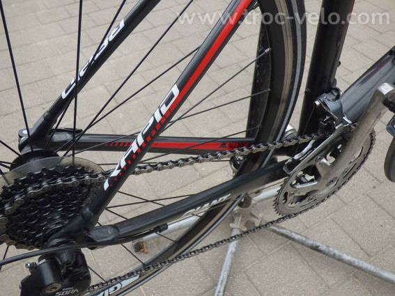Giant Rapid 3 – Taille L – Confort amélioré – 320 € - 9