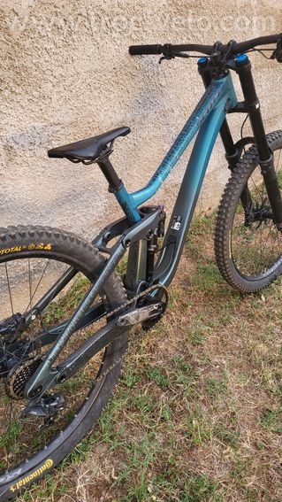Scott gambler  - 4