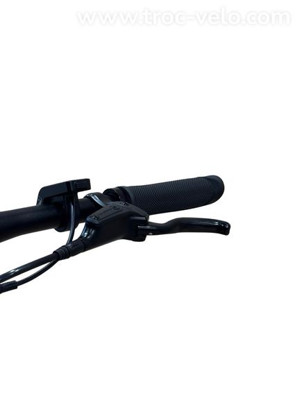 Tenways CGO600 PRO Vélo électrique Single-Speed 2023 - 6