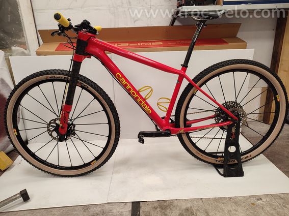 Cannondale f-si team ltd throwback replica  - 4
