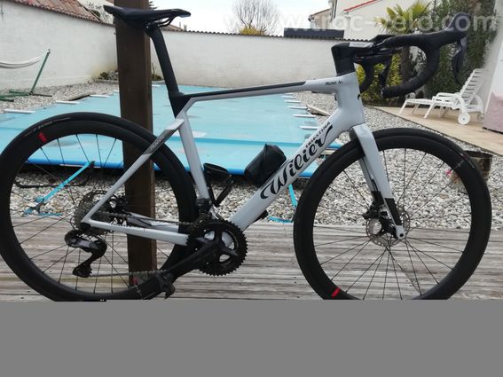 WILIER Filante Hybrid