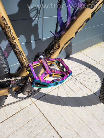 VTT ORBEA ALMA M20 2024  - 6