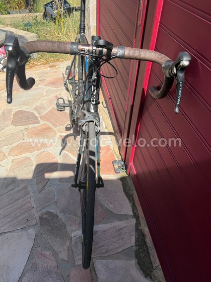 Vélo route Focus Taille XL