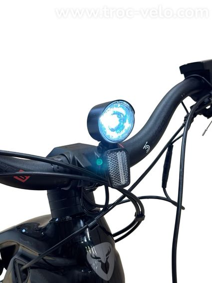 Rotwild R.T750 Tour Carbon 29 pouces VTT électrique Shimano XT 2023 - 4