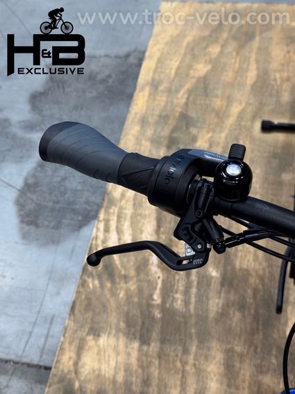 Riese & Müller Nevo4 GT Vario Vélo électrique Enviolo 2023 - 5