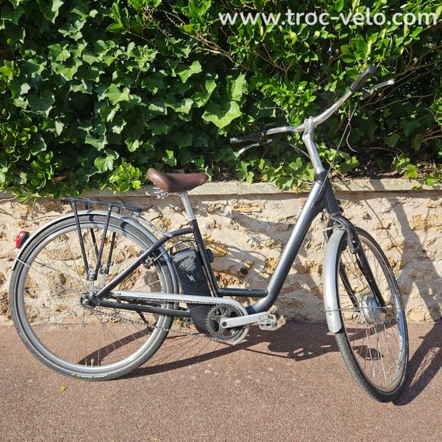 Vélo électrique Modèle T Momentum Electric  - 1