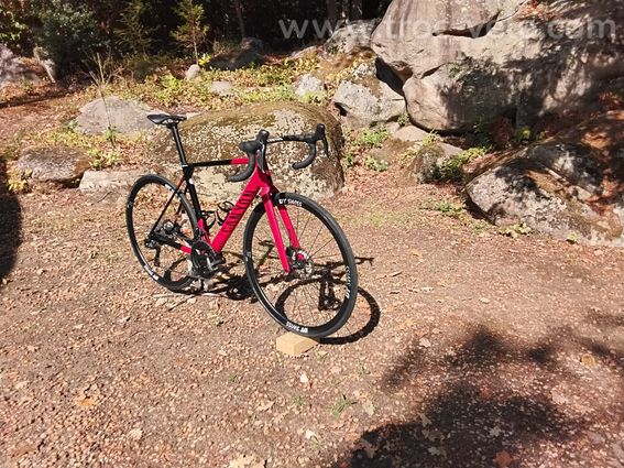 Velo de route carbone 2024 - 2