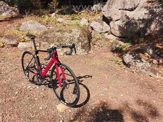 Velo de route carbone 2024 - 5