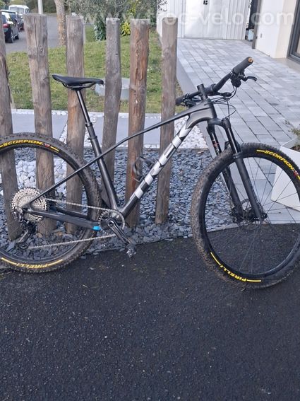 Trek procaliber 9.6 3éme génération 2025 - 7