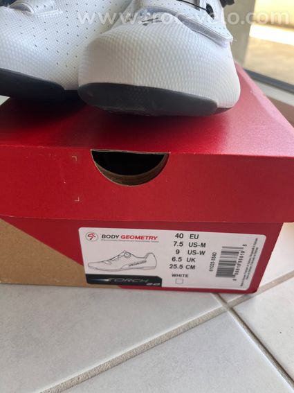 Specialized torch 2.0 route - 4