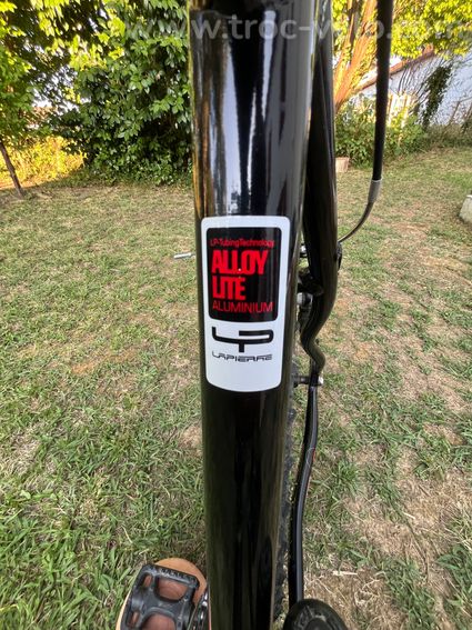 VTT Lapierre Free Lite 190 - 5