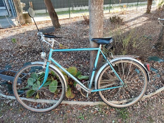 Vélo homme  - 2