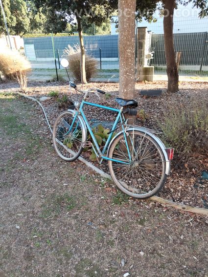 Vélo homme  - 3