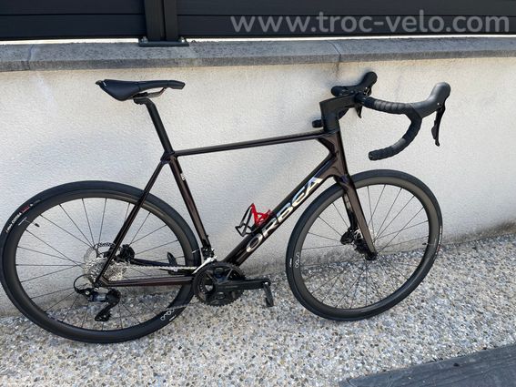 Orbea orca
