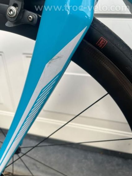 Focus CAYO Taille S - 9