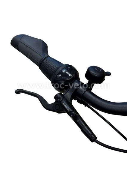 Giant DailyTour E+ 2 LDS Vélo électrique Shimano Nexus 2023 - 5