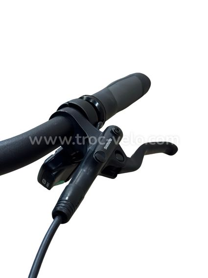 Giant DailyTour E+ 2 LDS Vélo électrique Shimano Nexus 2023 - 6