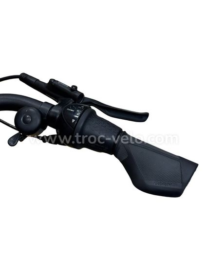 Giant DailyTour E+ 2 LDS Vélo électrique Shimano Nexus 2023 - 8