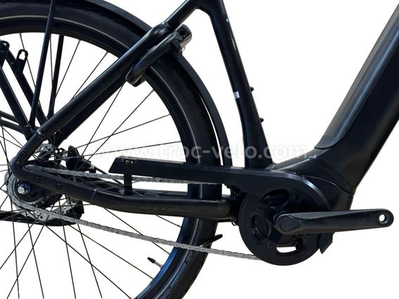 Giant DailyTour E+ 2 LDS Vélo électrique Shimano Nexus 2023 - 13