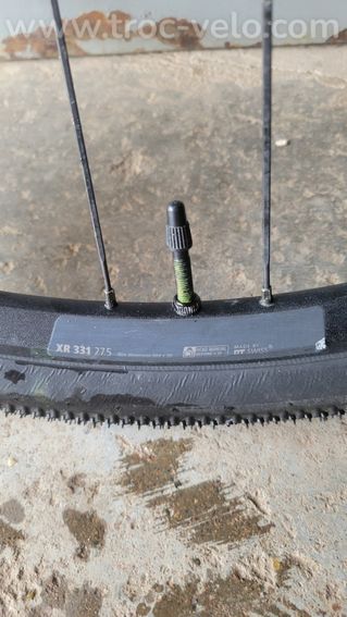 Roues DT SWISS  disque Gravel VTT 27.5  - 10