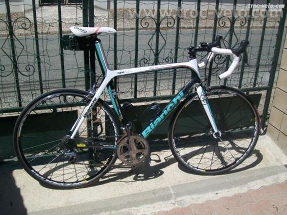 recherche cadre Bianchi sempre t 59 ou autres modèles en t 59 - 4