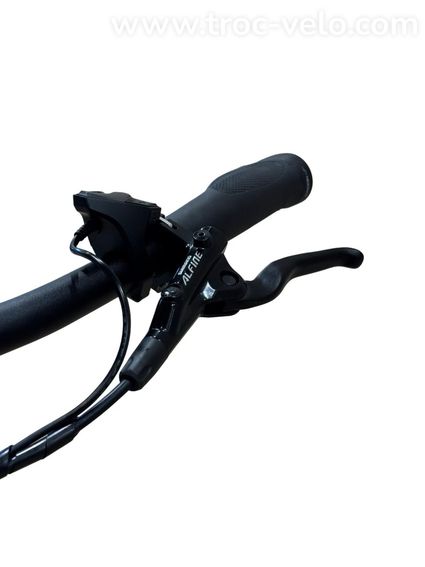Bergamont E-Horizon Pro Belt Vélo électrique Enviolo 2021 - 6