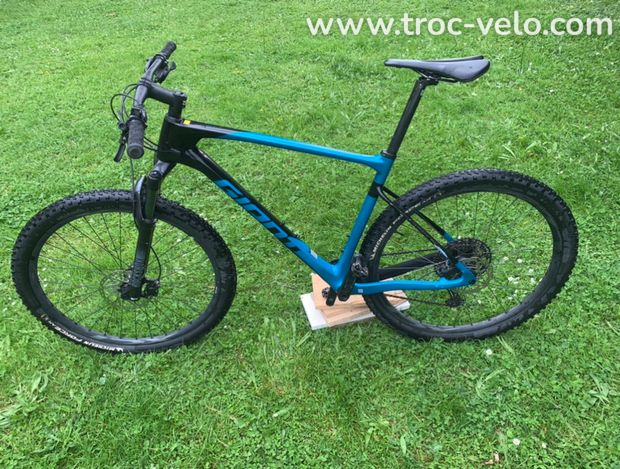 VTT XL Giant carbone 29 pouces - 1