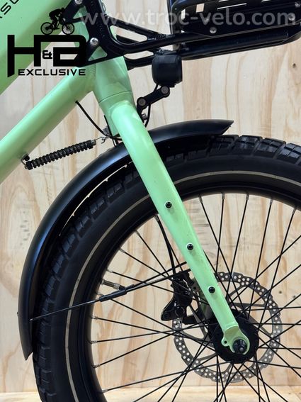 Pegasus Famulo Cargobike Shimano Deore 2025 - 3