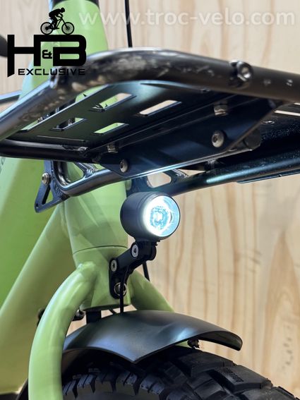 Pegasus Famulo Cargobike Shimano Deore 2025 - 4