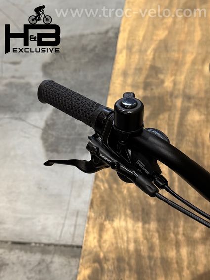 Pegasus Famulo Cargobike Shimano Deore 2025 - 6
