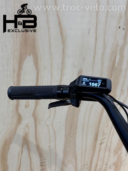 Pegasus Famulo Cargobike Shimano Deore 2025 - 7