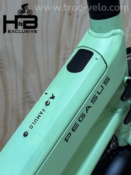 Pegasus Famulo Cargobike Shimano Deore 2025 - 10