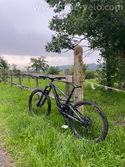 Specialized Enduro Comp Carbone 29 " - 3