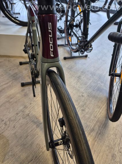 Focus izalco Max  - 2