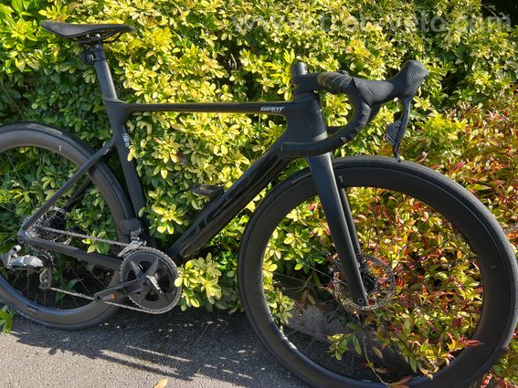 Giant propel  - 2