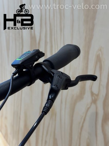 Diamant Beryll Gen 3 Vélo électrique Shimano Nexus 2024 - 6