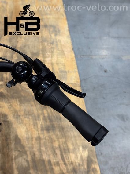 Diamant Beryll Gen 3 Vélo électrique Shimano Nexus 2024 - 7