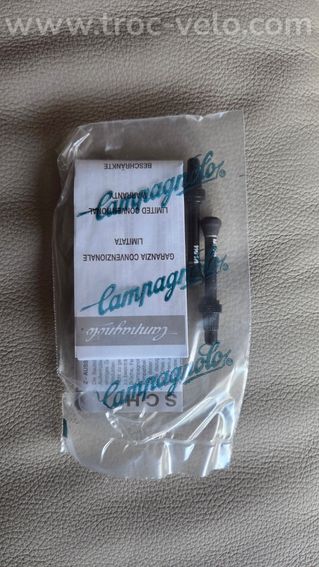 Roues Campagnolo Bora WTO 33 Carbon - Disc Brake - 3