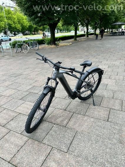 CUBE Reaction Hybrid Race 750 29" - VTTAE Semi-Rigide (2023) - 3