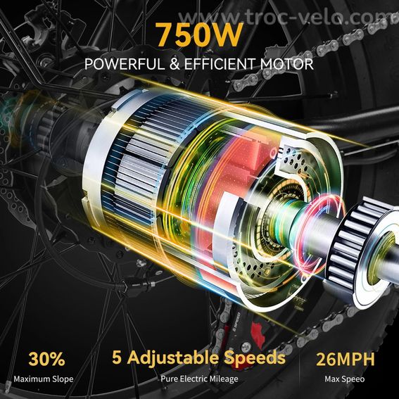 EBKAROCY Vélo Électrique Pliable 750W 400W 48V Fat Tire Adulte E-bike... - 6