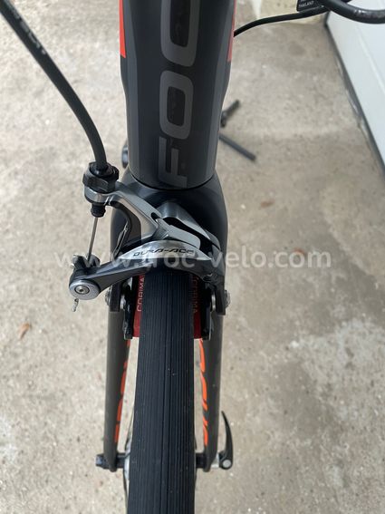 FOCUS IZALCO MAX  - 6