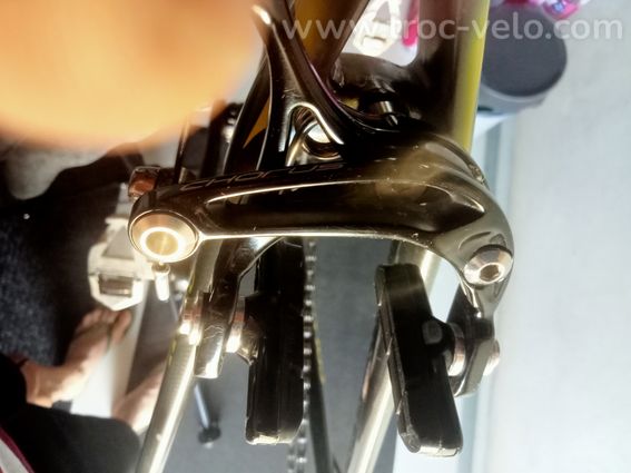 Colnago C40 B-stay - 3