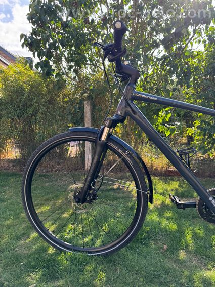 Cannondale Quick CX3 Large - Année 2021 - 2