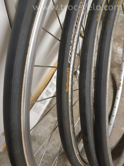 boyaux continentale ALX PRO LTD - 3