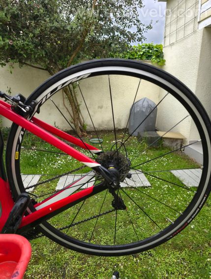 Vélo de route Carbone Specialized Tarmac – Groupe Shimano 105 11v - 8