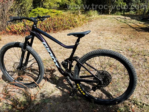 GIANT STANCE 29 1 ROSEWOOD - T. M - EXCELLENT ÉTAT - TRÈS PEU ROULÉ - 2